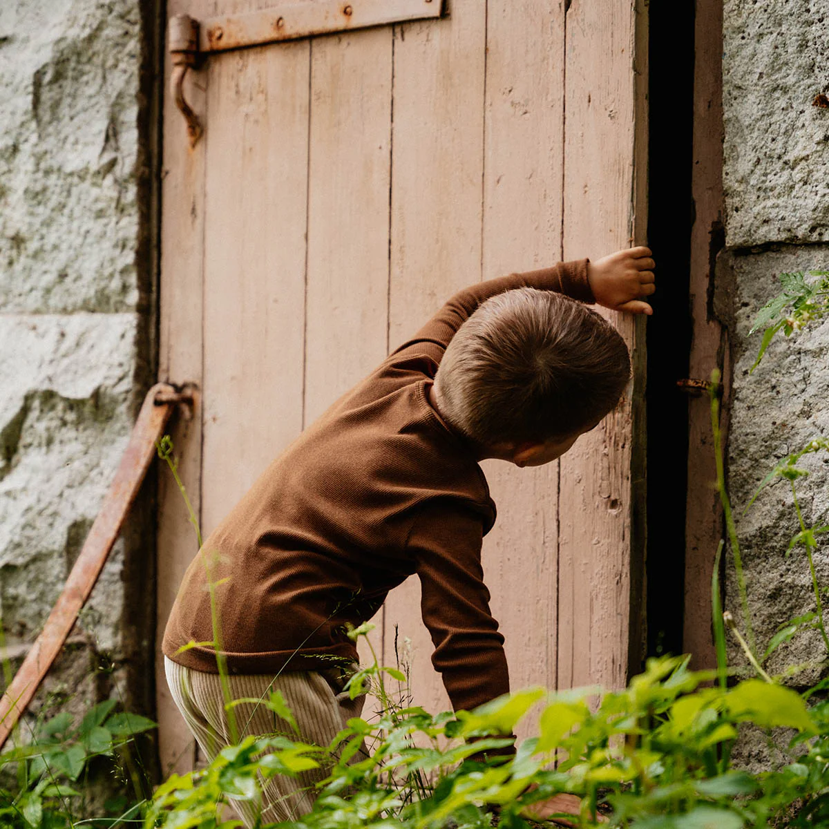 Noe-paita, ruskea - Image 4